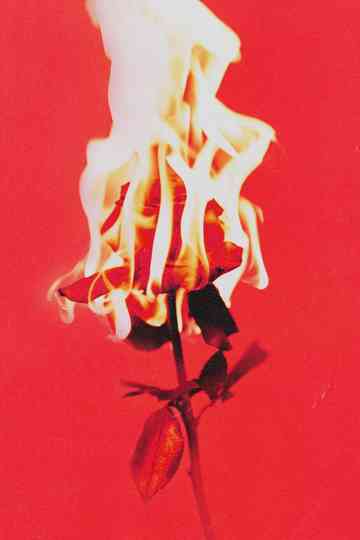 Love or Loved Part.1 Official Live Clip Poster