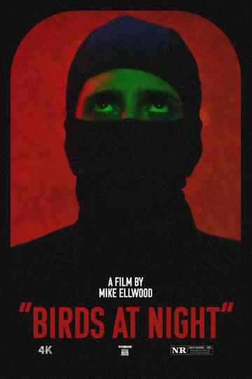 Birds at Night poster