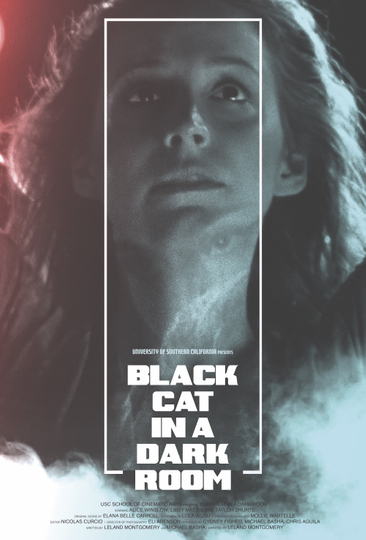 Black Cat in a Dark Room Poster