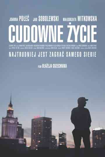 Wonderful Life Poster