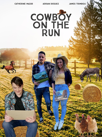 Cowboy on the Run Poster