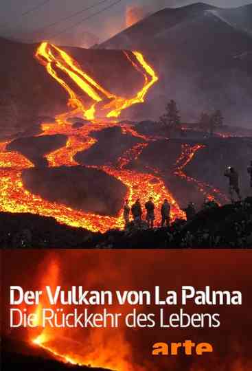 Der Vulkan von La Palma - Die Rückkehr des Lebens Poster