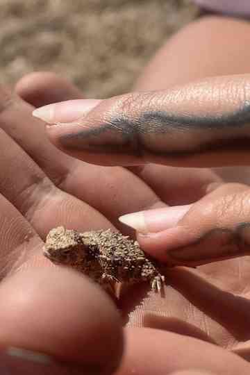 ✧Ⓑ☠☻Ⓛ♡Ⓞ✇☟Ⓞ☁☽Ⓓ✰ ⓜⓐⓣⓔⓡⓘⓐⓛⓢ✦ Poster