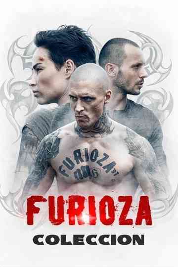 Furioza Collection Poster