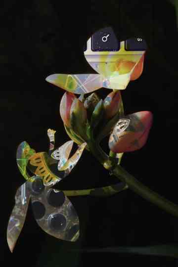 Shield Ambiance Poster