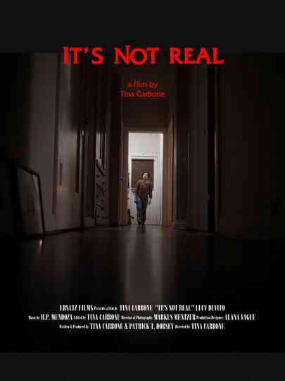 It's Not Real Poster