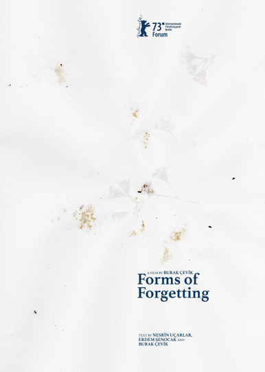 Forms of Forgetting