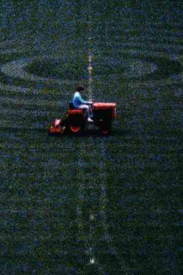 Semiotic Ghosts Poster