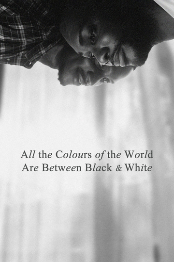 All the Colours of the World Are Between Black and White Poster