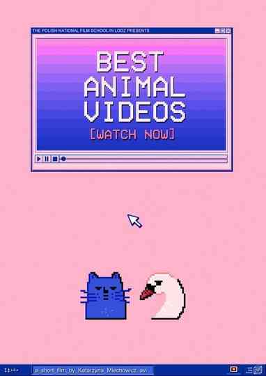 BEST ANIMAL VIDEOS [WATCH NOW] Poster