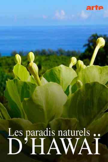 Hawaiis versteckte Paradiese poster