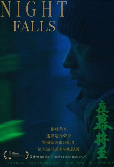 Night Falls Poster