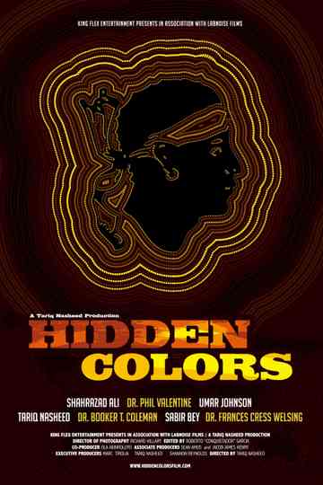 Hidden Colors poster