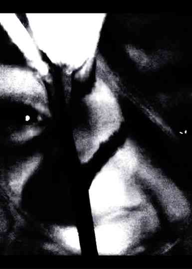 Gothic Hastings Experiment Poster