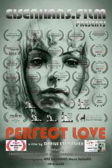 Perfect Love Poster