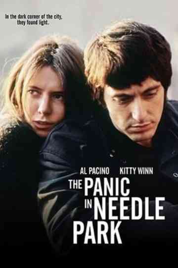 Panic on the Streets of New York Poster