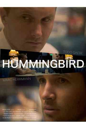 Hummingbird Poster