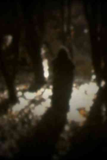 O senso dos desatinados Poster