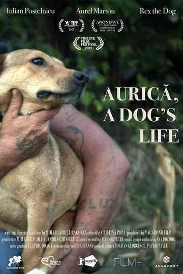 Aurica, a Dog's Life Poster