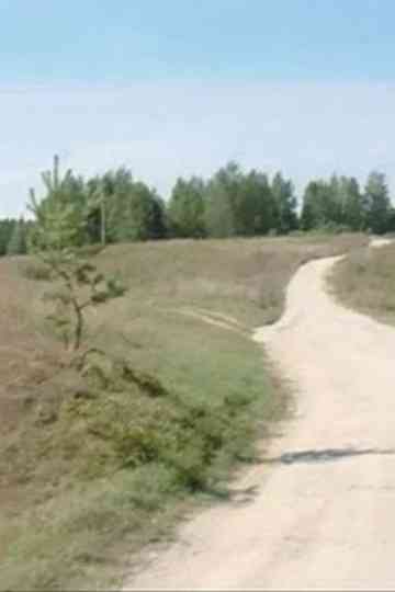 Europa 54 54′-25 19′ Poster