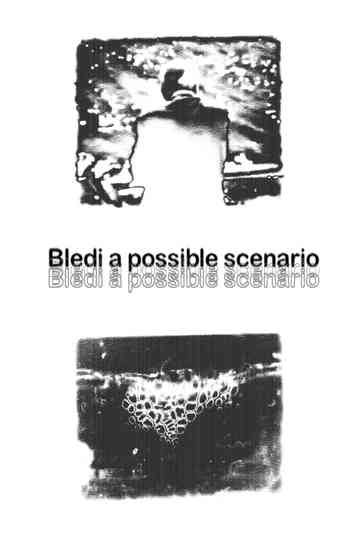 Bledi a possible scenario Poster