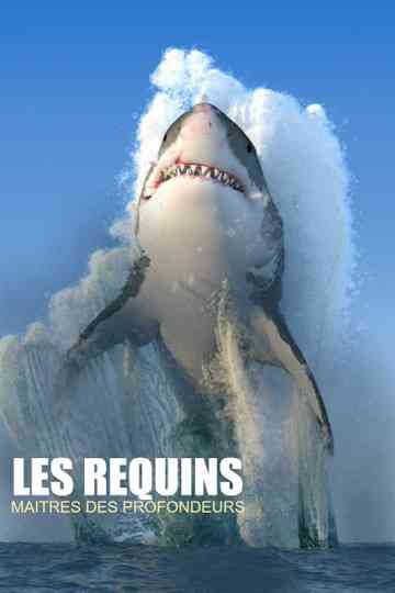 Les requins, maîtres des profondeurs Poster
