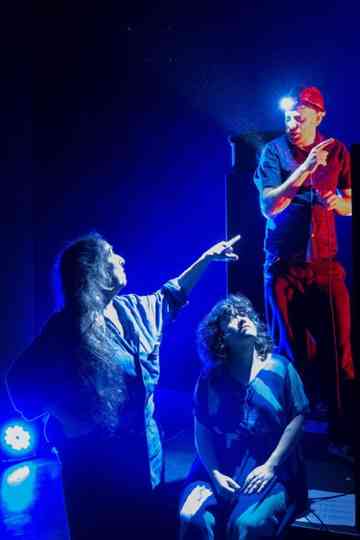 Birds in the Window Poster