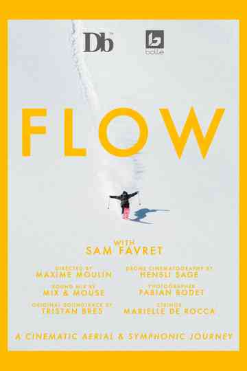 FLOW Poster