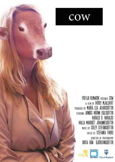 Cow Poster