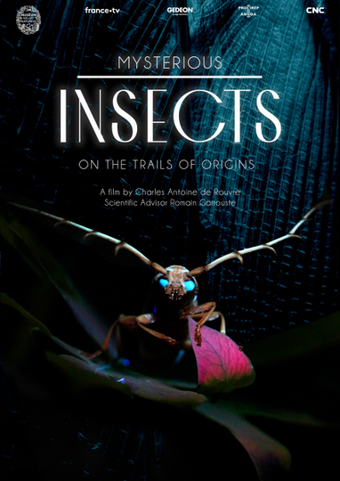 Mysterious Origins of Insects