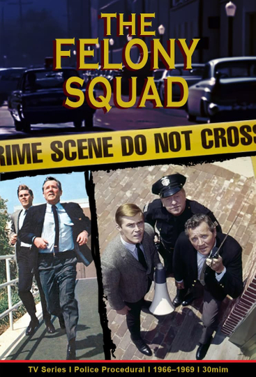 Felony Squad Poster