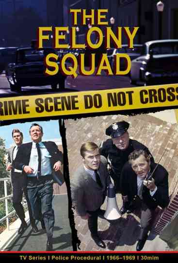 Felony Squad