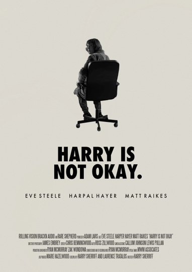 Harry Is Not Okay Poster