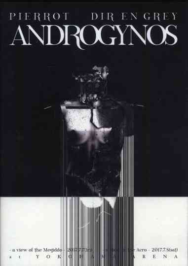 Androgynos Poster