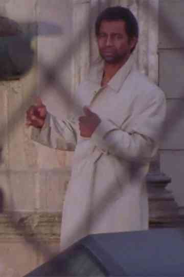 Mist Melodies of Paris Poster