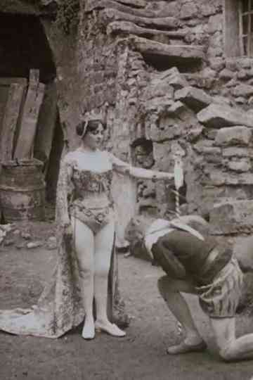 The Magic Flute Poster