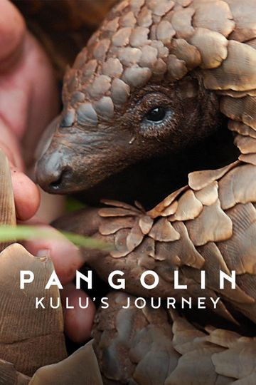 Pangolin: Kulu's Journey
