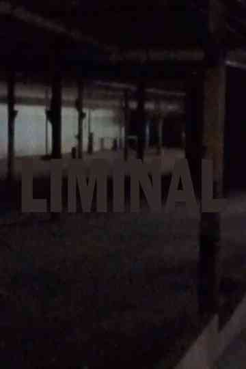 liminal Poster