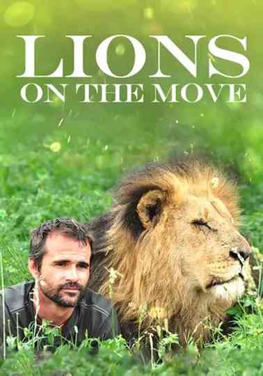Lions on the Move Poster