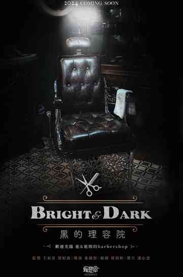 Bright & Dark Poster