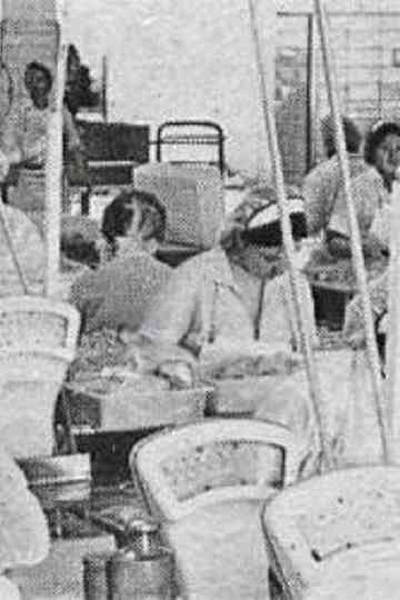 After 1100 Years Poster