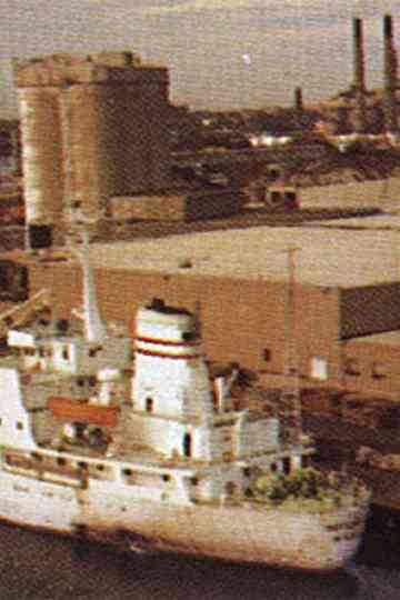 With Compliments from Iceland Poster