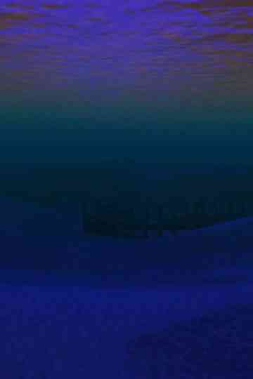 Neptune’s Empire: Second Life ambience Poster