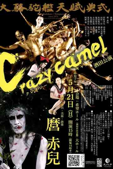Crazy Camel Poster