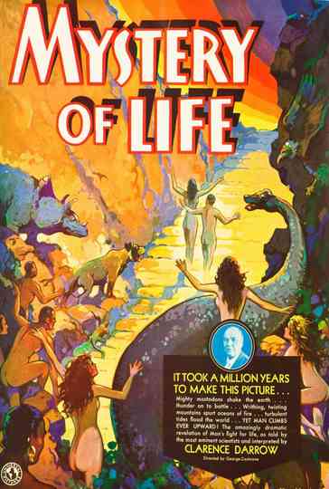Mystery of Life Poster