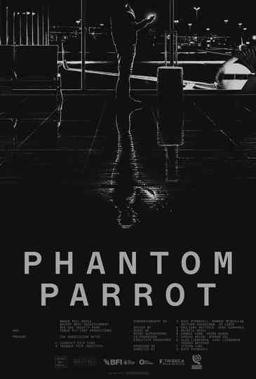 Phantom Parrot Poster