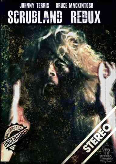 Stardust Redux Poster