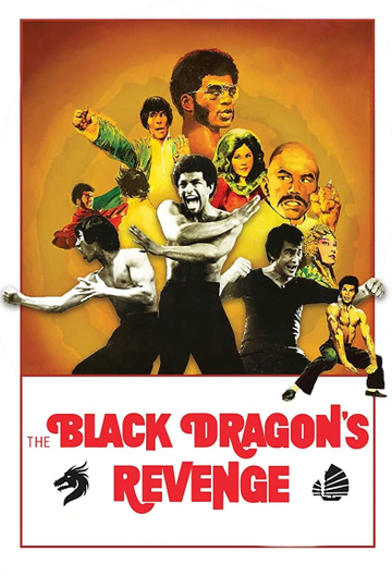 Black Dragons Revenge Poster