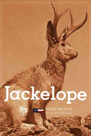 Jackelope Poster