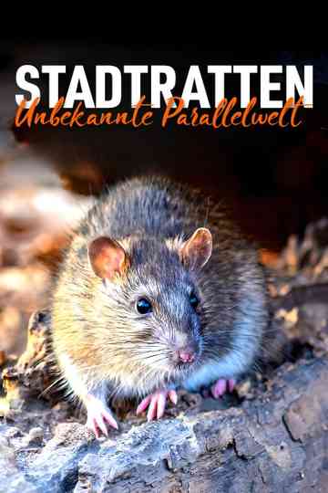Stadtratten - Unbekannte Parallelwelt Poster